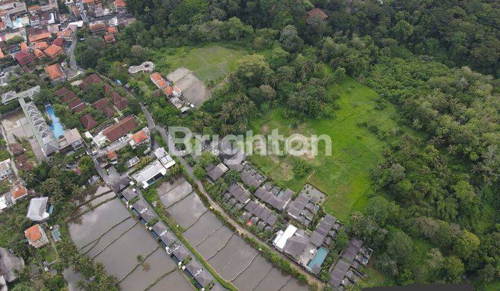 Cheap land on Jalan Bisma Ubud with an area of 1 hectare 1