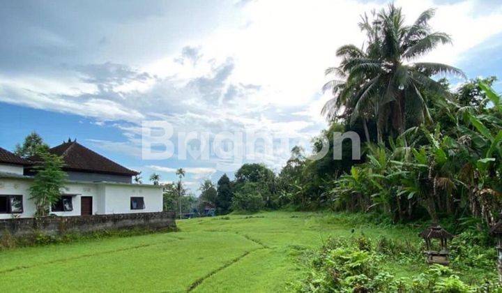 Tanah seluas 35 are, lokasi di Megati Tabanan,. cocok untuk dibangun Villa, Rumah, Gudang atau  pabrik 2