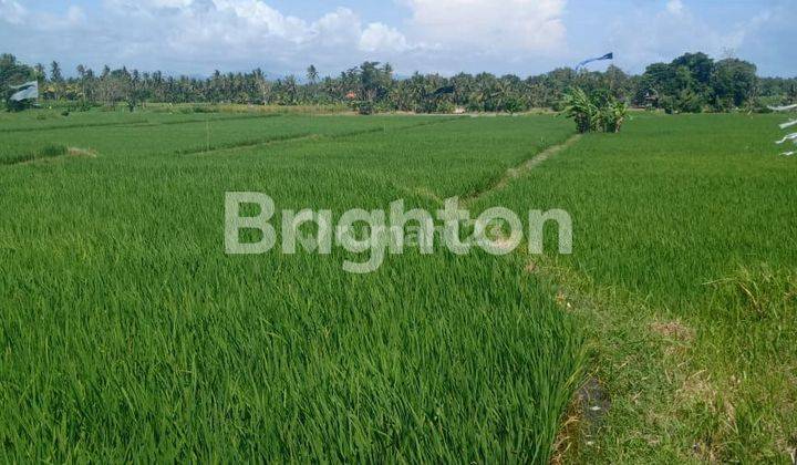 Land covering an area of 20 acres in Mas Ubud Village, Gianyar 1