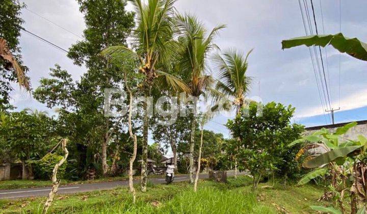 Tanah seluas 35 are, lokasi di Megati Tabanan,. cocok untuk dibangun Villa, Rumah, Gudang atau  pabrik 1