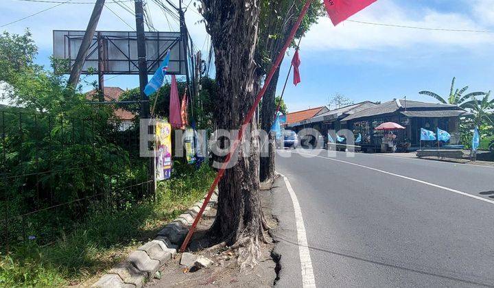 Tanah seluas 31,5 are di pinggir jalan utama Jalan Raya Kerobokan 2