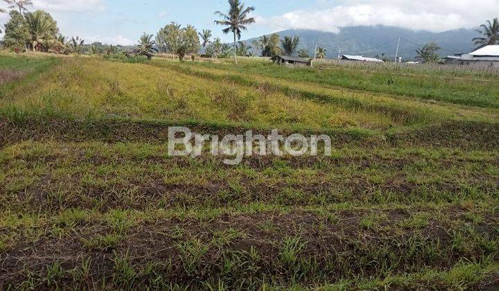 Prospective land in Angseri Village, Tabanan, suitable for building a villa 1