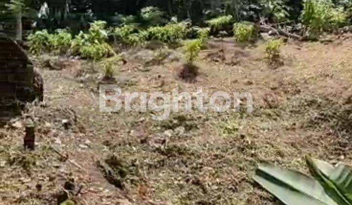 Tanah 5 are dekat ke Pantai Yeh Gangga di Desa Sudimara Tabanan Bali 2