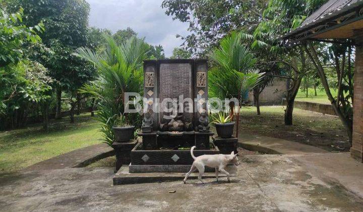 Tanah seluas 21 are dengan lahan yang sudah tertata rapi dilengkapi dengan pagar dan bale bengong, lokasi di Desa Nyitdah Tabanan Bali 2