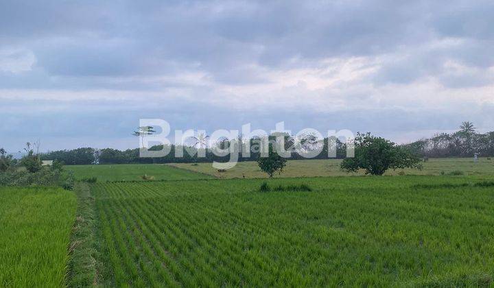 Land with mountain and beach views measuring 49.9 ares in Pangyangan Village, Jembrana, Bali 1