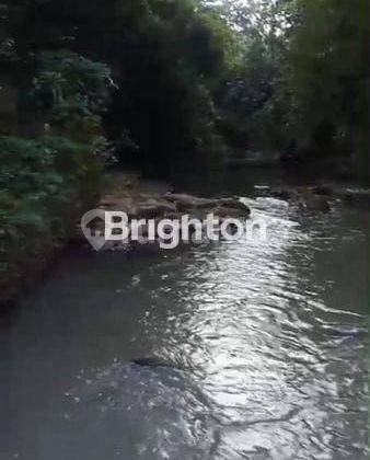 Tanah di Desa Bongan Seluas 30 Are, View Sungai dan ITR kuning 1