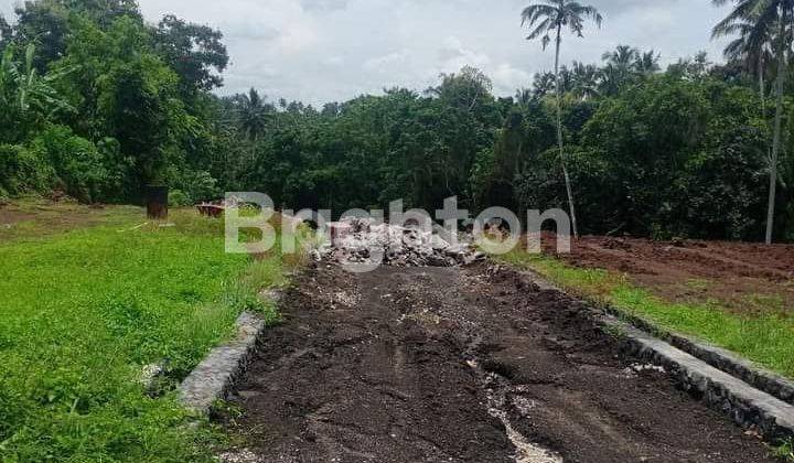 Tanah Kavling di Jalan utama Denpasar - Gilimanuk, Lokasi di Megati Kaja 2