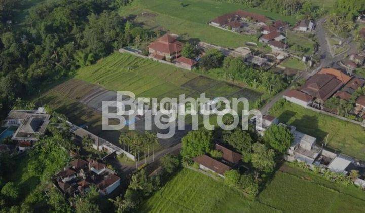 Tanah di Buwit Tabanan Bali luas 42 are leasehold 30+10 th 2