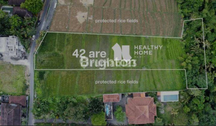 Tanah di Buwit Tabanan Bali luas 42 are leasehold 30+10 th 1