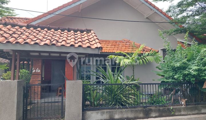 Rumah Area Pucang Dekat Pusat Kota Dekat Gubeng Kertajaya 2