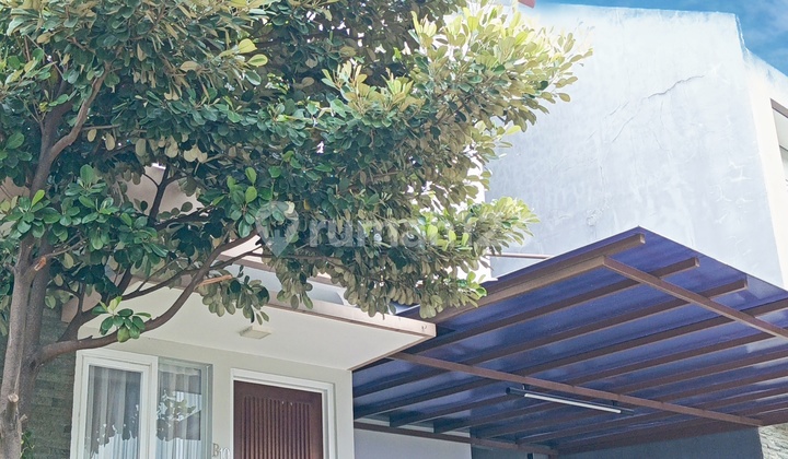 Rumah Siap Huni Bebas Banjir Jakarta Timur Rumah Siap Huni Bebas Banjir Jakarta Timur