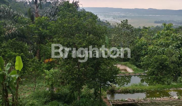 Dijual kebun DUREN Banyubiru Kopeng Ambarawa 2