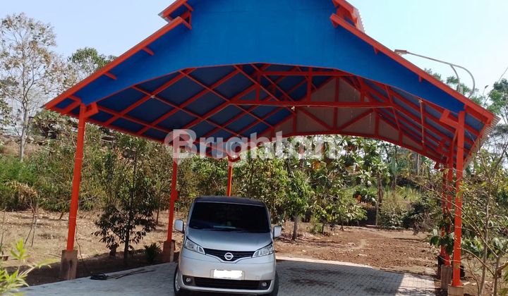 Dijual kebun buah sudah jadi Lawang