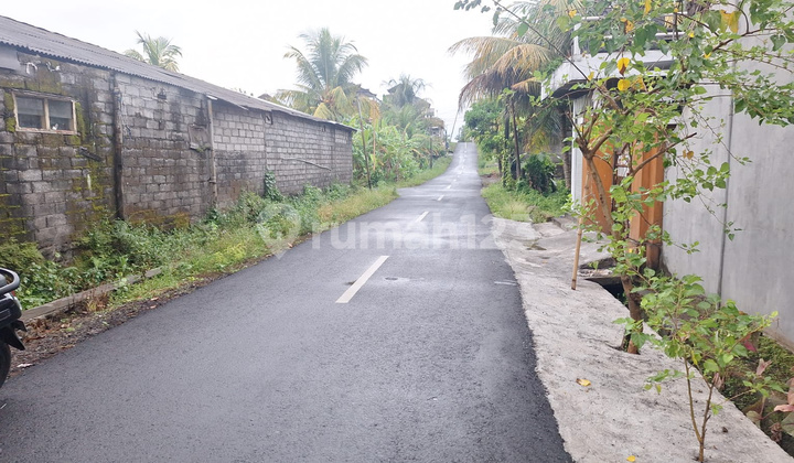 Land for Sale Suitable for Living and Business