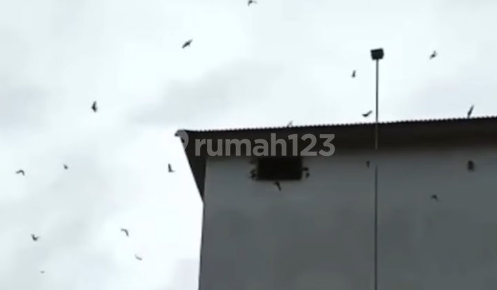 Dijual Rumah Sarang Walet Aktif Di Bengkuring Samarinda  2