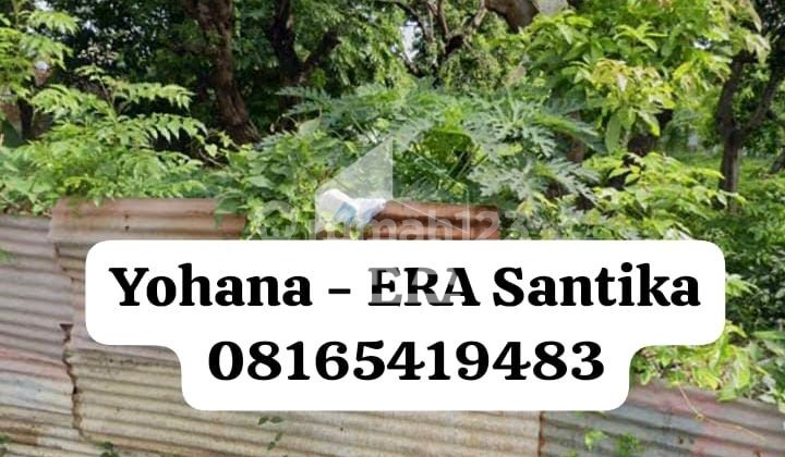 DIJUAL TANAH SITUBONDO LOKASI STARTEGIS DIJUAL TANAH SITUBONDO LOKASI STARTEGIS