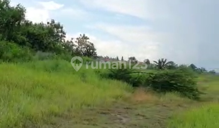 Cheap Land with SHM 5 Hectares Location Cerme Gresik