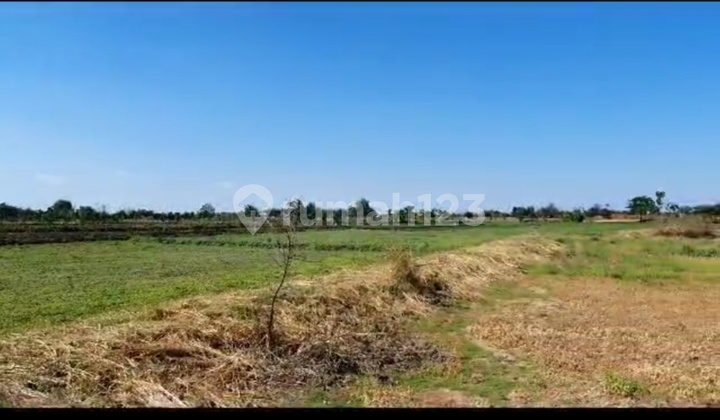 Cheap Land with SHM 5 Hectares Location Cerme Gresik