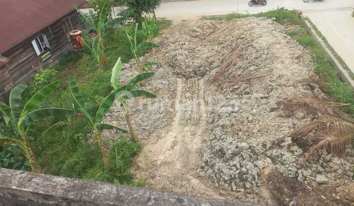 Dijual Murah Tanah Dan Bangunan 3 Lantai Bonus 200 Sarang Walet 2