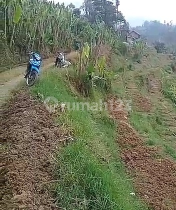 Tanah Bisa Dijadikan Villa di Ciwidey Bandung Tanah Bisa Dijadikan Villa di Ciwidey Bandung