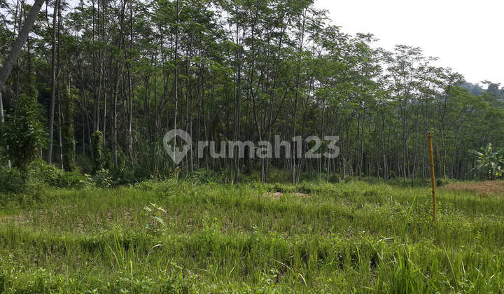 Tanah Luas di Citatah, Padalarang Bandung Tanah Luas di Citatah, Padalarang Bandung