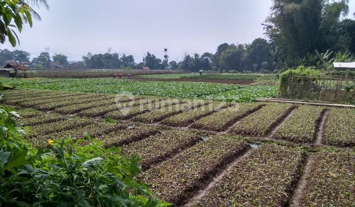 Tanah Luas Salamanja Soreang Dekat Tempat Wisata 