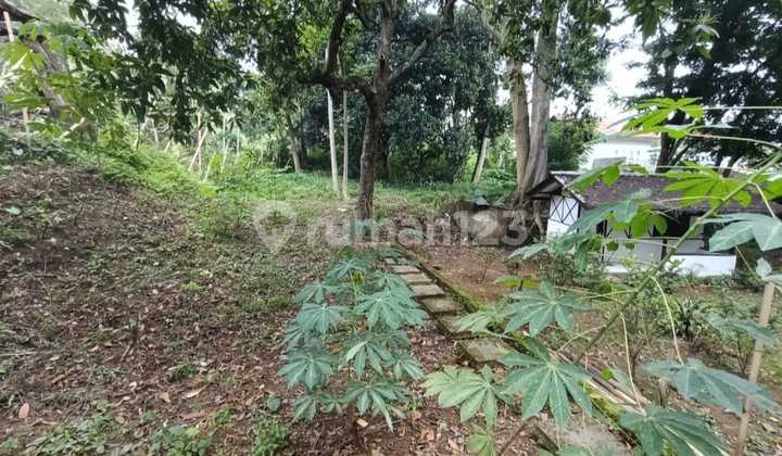 Large Land by the Road Dijl. Upper Bukit Raya, Punclut.