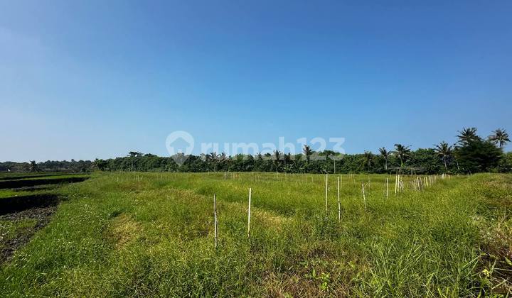 Tanah Luas di Tabanan, Pantai Kelating, Bali