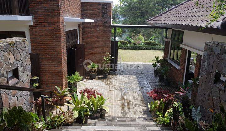 Rumah Nyaman Mewah Murah di Bukit Pakar Utara 1