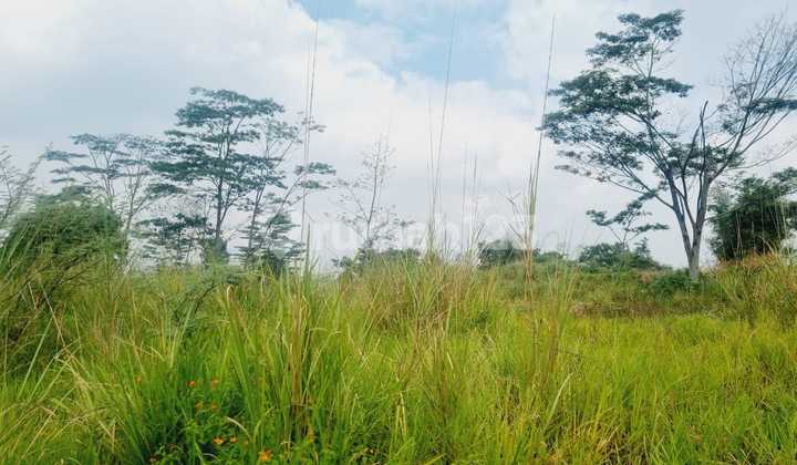 Tanah Luas Udara Segar di Allegro Dago Bandung