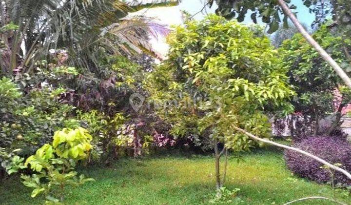 Tanah di Harjasari Bogor SHM 298 m² Murah Hanya 2jt An Dekat Pasar Ciawi 1