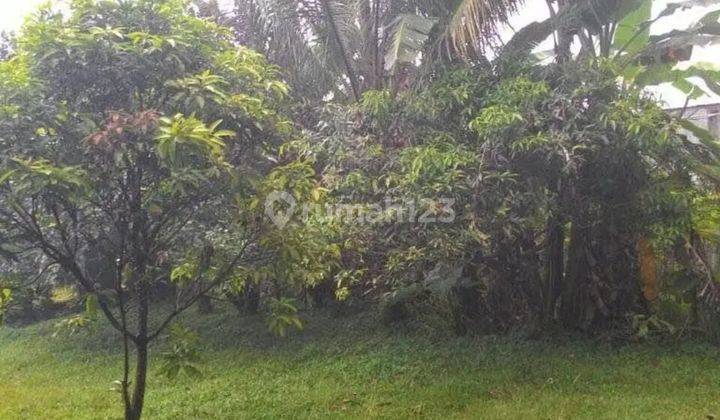 Tanah di Harjasari Bogor SHM 298 m² Murah Hanya 2jt An Dekat Pasar Ciawi 2