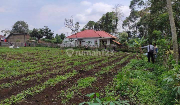 Tanah Murah Dekat Suvarna Sutera, Terima SHM 1