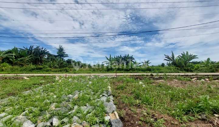 Cisauk Land by Main Road - 10 Minutes to New Jatake Station Cisauk Land by Main Road - 10 Minutes to New Jatake Station