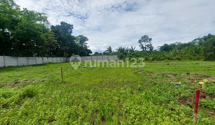 Tanah Cisauk Murah - 1Jtan Pinggir Jalan - Dekat Tol & Stasiun Tanah Cisauk Murah - 1Jtan Pinggir Jalan - Dekat Tol & Stasiun