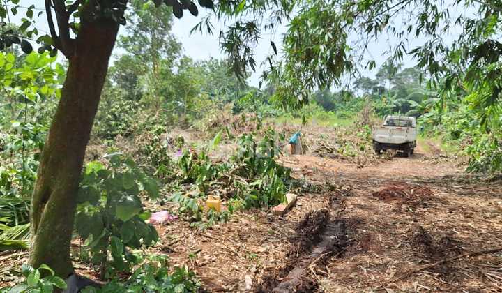 Tanah Murah Cisauk 1Jtan/M - Pinggir Jalan 10 Menit Tol Legok/Stasiun Jatake