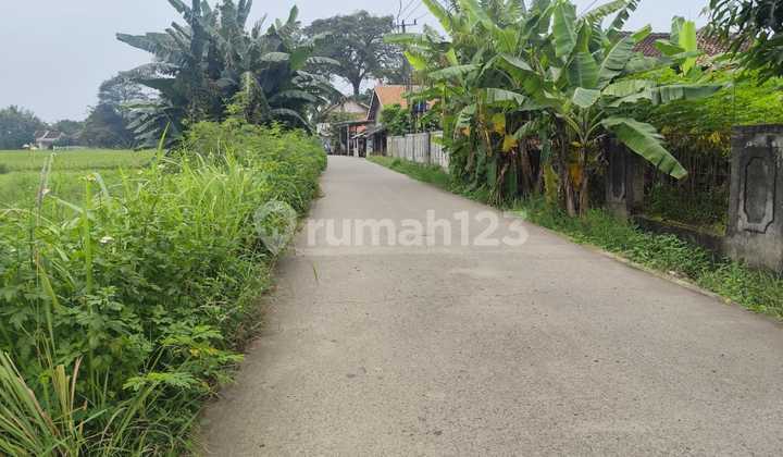 Tanah Murah Sindang Jaya Dekat Suvarna Sutera - SHM 700Rban/M Tanah Murah Sindang Jaya Dekat Suvarna Sutera - SHM 700Rban/M