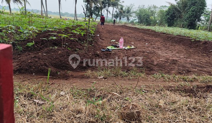 Tanah Murah Sindang Jaya - SHM 700Rban/M - 10 Menit Suvarna Sutera Tanah Murah Sindang Jaya - SHM 700Rban/M - 10 Menit Suvarna Sutera