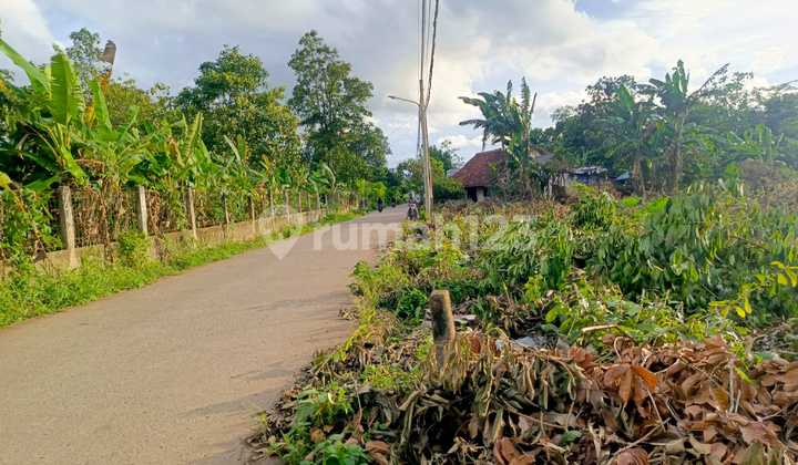 Tanah Murah Cisauk - SHM 100Jtan - Nempel Stasiun/Tol Tanah Murah Cisauk - SHM 100Jtan - Nempel Stasiun/Tol