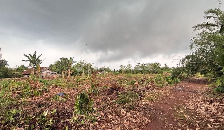 Tanah Murah Cisauk 100Jtan - SHM - Nempel Tol & Stasiun