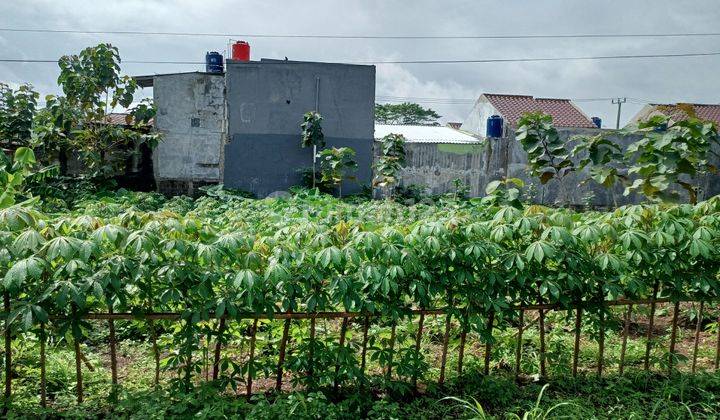 Tanah Depok 2 Jutaan, 400 Meter Taman Herbal Insani 2