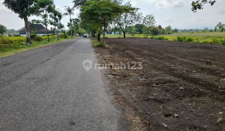 Tanah Murah Dekat Cimory Dairy Land Bsd, Harga 100 Jutaan 2