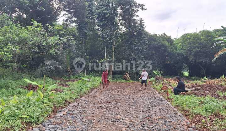Near Burangkeng Toll Road - Land Plots SHM Starting from 1 Million/m Near Burangkeng Toll Road - Land Plots SHM Starting from 1 Million/m