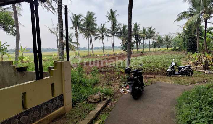 Tanah Sinang Jaya Termurah - SHM 700Rban/M - 10 Menit Suvarna Sutra Tanah Sinang Jaya Termurah - SHM 700Rban/M - 10 Menit Suvarna Sutra