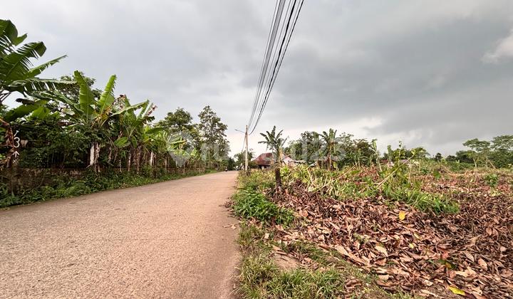 Tanah Cisauk SHM 1 Jtan/M - Pinggir Jalan Dekat Pintu Tol Legok/Stasiun Jatake Tanah Cisauk SHM 1 Jtan/M - Pinggir Jalan Dekat Pintu Tol Legok/Stasiun Jatake