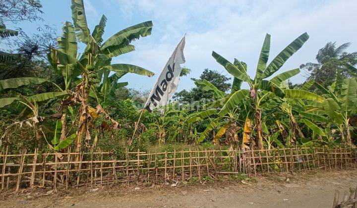 Tanah Murah Terima Shm, Dekat Suvarna Sutera Tangerang 1