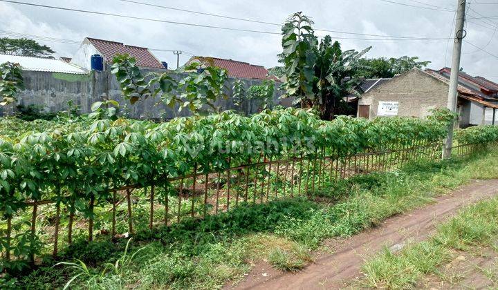 Tanah Depok 2 Jutaan, 400 Meter Taman Herbal Insani 1