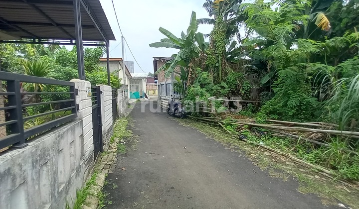 5 Menit Batavia - Tanah Murah Rajeg 750Rban/M