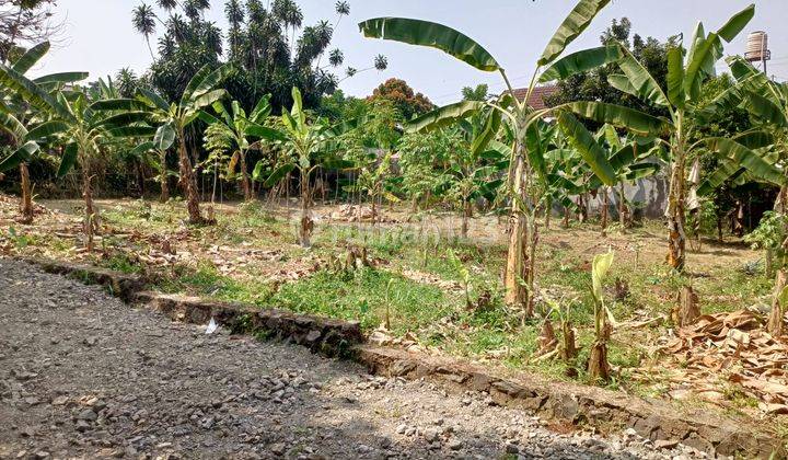 Tanah Cinangka Cocok Hunian, 15 Menit Tol Limo 1