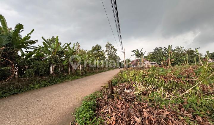 Cisauk 100Jtan Plot of Land - Freehold Title - Near Toll Road/Station Cisauk 100Jtan Plot of Land - Freehold Title - Near Toll Road/Station